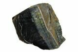 Polished Blue Tiger's Eye Section - South Africa #148253-1